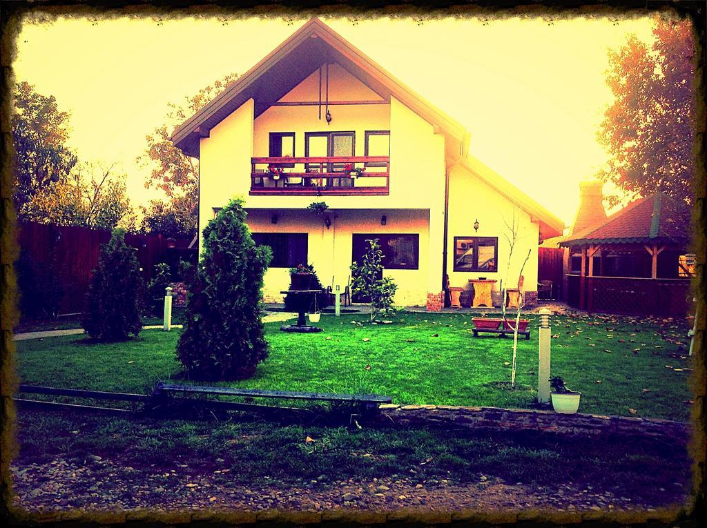 Pensiunea Puiu Afumaţi Extérieur photo