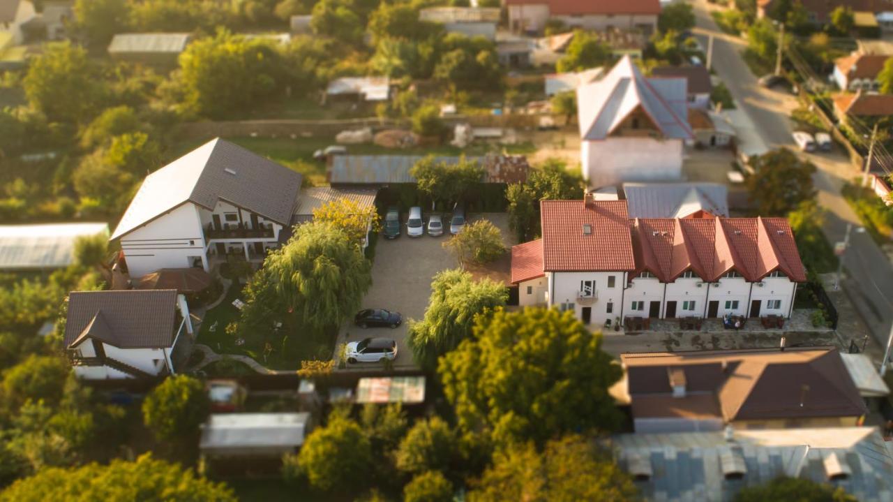 Pensiunea Puiu Afumaţi Extérieur photo